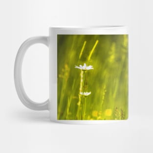 Daisy Mug